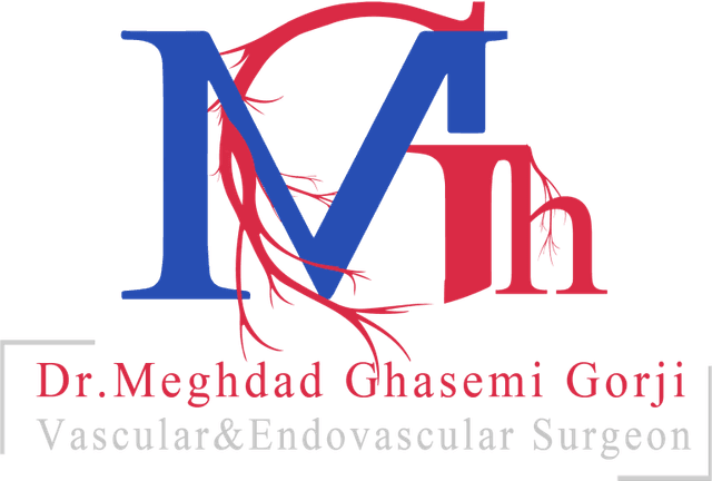 لوگوی Vascular Surgery